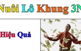 Cách nuôi lô khung 3N hiệu quả