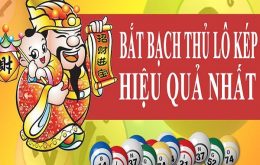 Ảnh 2: Những phương pháp soi lô cầu kép hiệu quả nhất